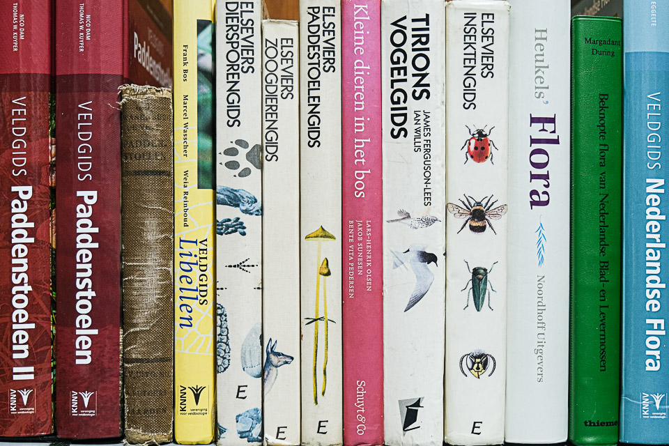 Boeken -- - Foto Guy Ackermans-FT3A5535 - 1 kolom