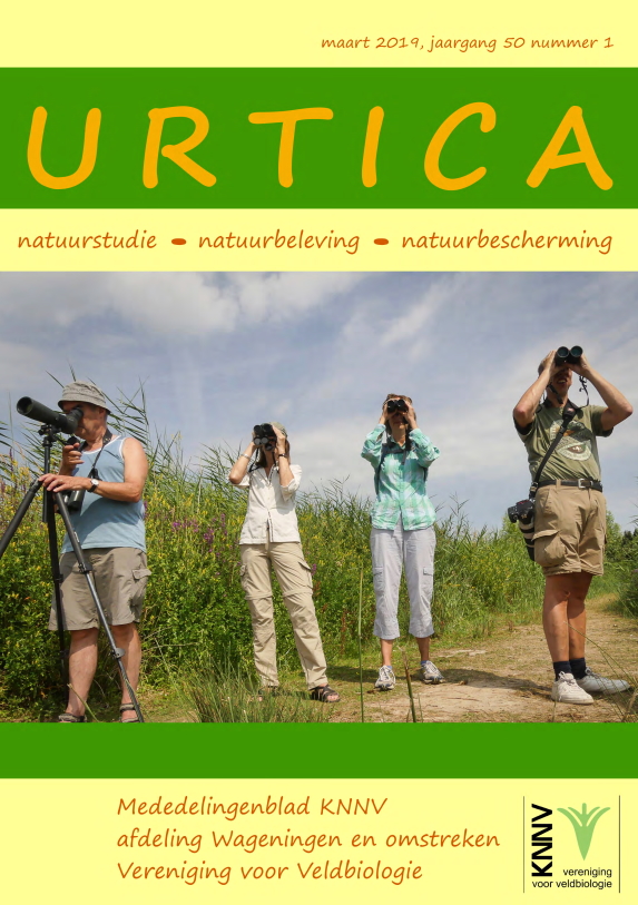 Urtica