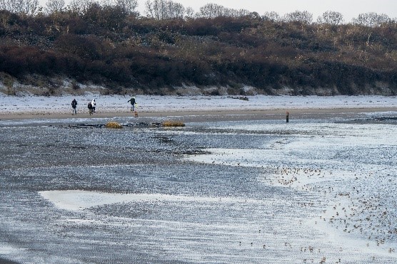 Vogelexcursie Zeeland – Brouwersdam – Prunjepolder