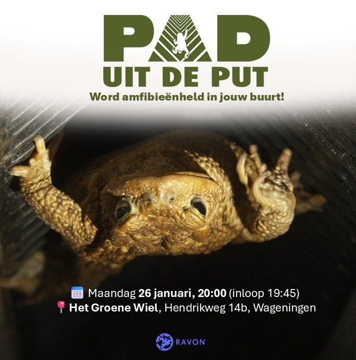 De pad gaat weer op pad en kan een helpende hand gebruiken.