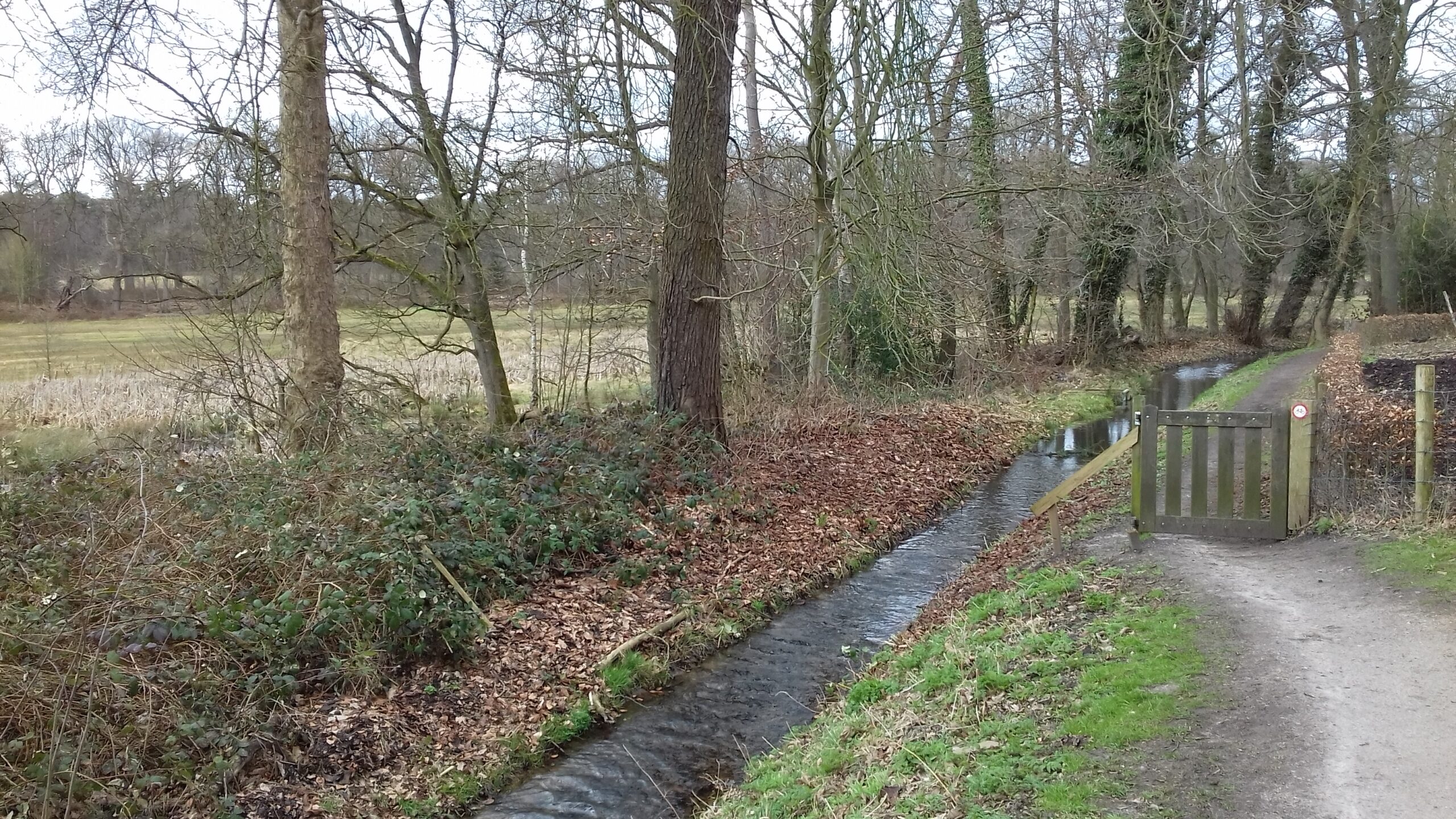 Natuurwandeling door het Renkums Beekdal ten zuiden van de Bennekomseweg