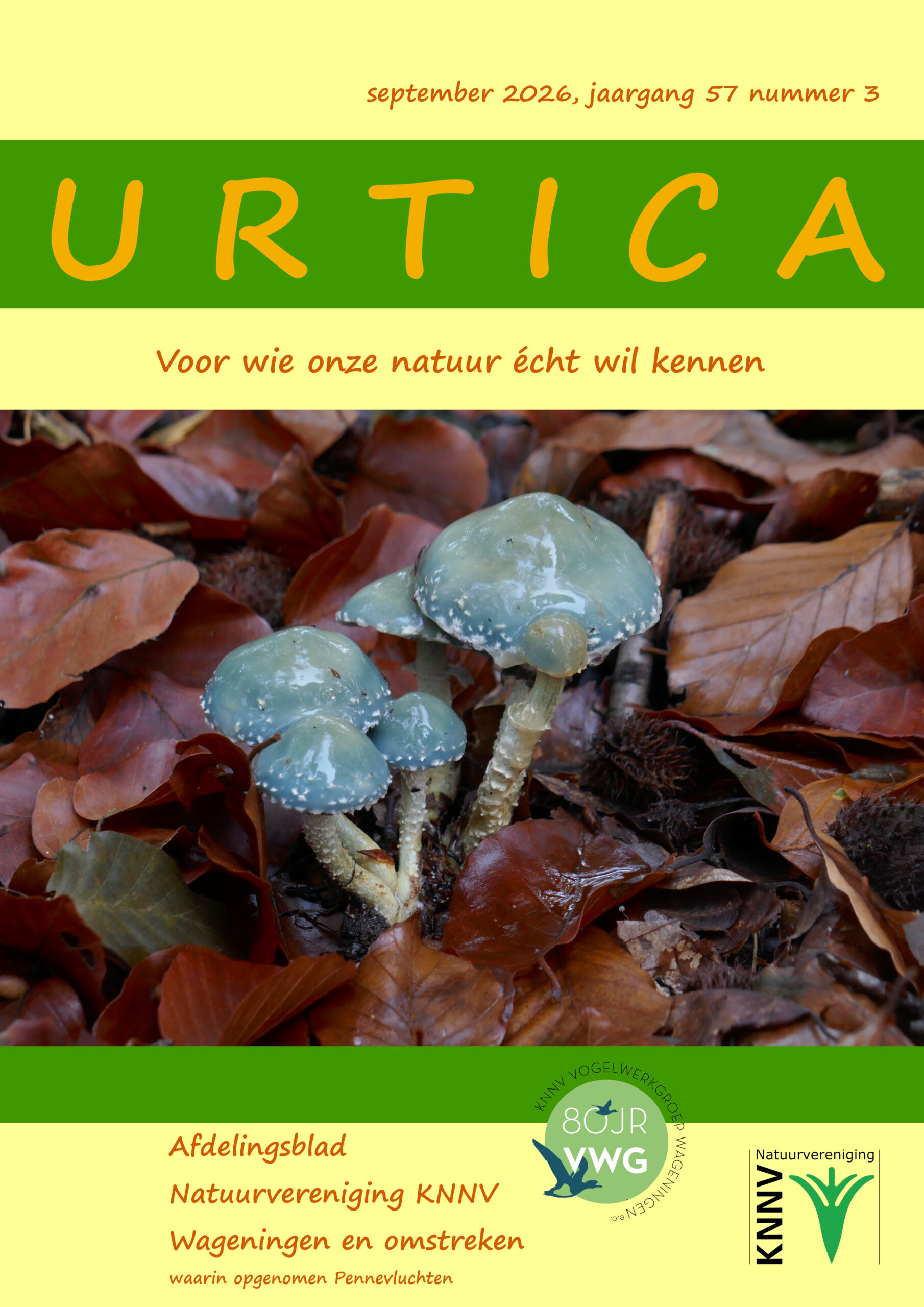 Nieuwe Urtica