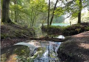 Excusie Bosbeek door KNNV